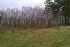 нижнетавдинский район с.Тюнево