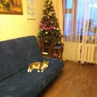 Продам 2-х ком квартиру