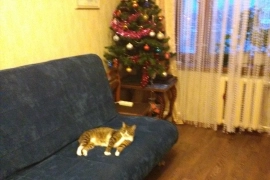 Продам 2-х ком квартиру